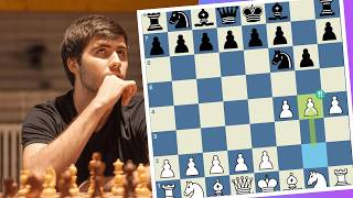 BIRD BOZO REVENGE | Week 47 to 3000 | THE CLOWN WILL SOAR screenshot 3