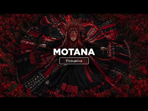 MOTANA — Розцвіла