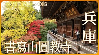 山上の名刹が織りなす紅葉【JNN 紅葉ドローンDIG】｜TBS NEWS DIG