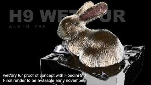 Houdini Fluid Simulation: Wet And Dry Fur