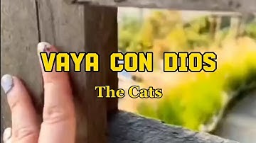 VAYA CON DIOS by The Cats (lyric & terjemah)