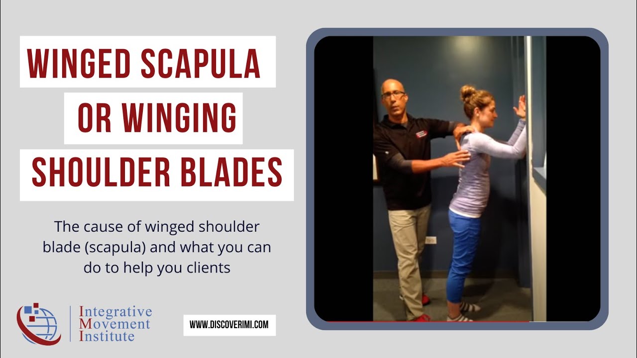 Winged Scapula or Winging Shoulder Blades with Dr. Evan Osar YouTube