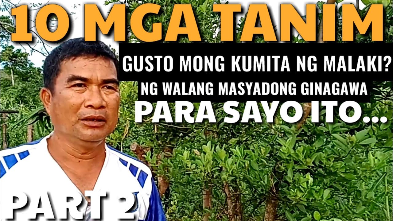 10 MGA TANIM NA KIKITA KA NG MALAKI KAHIT WALANG MASYADONG GINAGAWA - PART 2 | D' GREEN THUMB