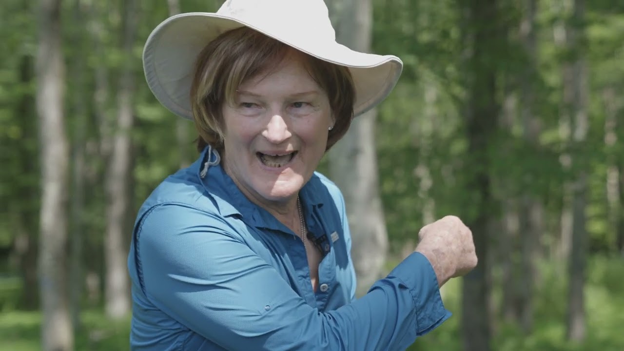 ОВЦЫ В САХАРНОМ КУСТАРНИКЕ (СЕРИАЛ «ЛЕСОВЫЕ ПАСТБИЩА», ЭПИЗОД 9)