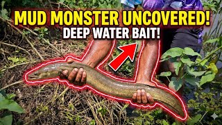 "Unbelievable Catch" || Traditional Fishing || Hand Eel Fishing.