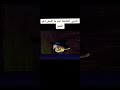 انا بشحت بالجيتار نسخة توم وجيري انا بشحت بالجيتار نسخة توم اند جيري ضحك trend trending مصر mp3