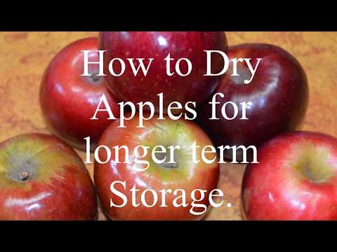 How to Dry Apples for Longer term storage