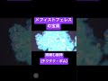 メフィストフェレスの宝具 微睡む爆弾(チクタク・ボム)