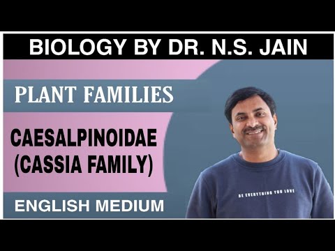 Caesalpinoidae (Cassia Family) Plant Families | English Medium