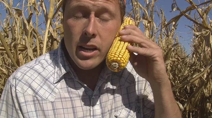iPhone I Like You #ImAFarmer (Taylor Swift - Look ...