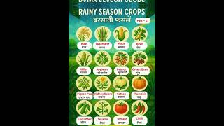 Rainy Season Crops Name Kharif Crops List बरश क मसम म उगन वल फसल