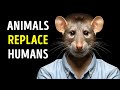 These Animals Are More Intelligent Than You Think