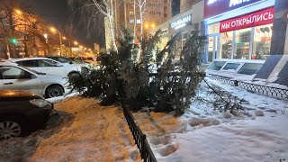 В Самаре на улице Агибалова третий день лежит спиленное дерево.