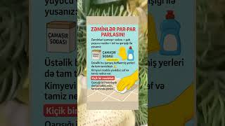 Zəmi̇nlər Par-Par Parlasin Əşfet Iməlumatlar Əmizlik