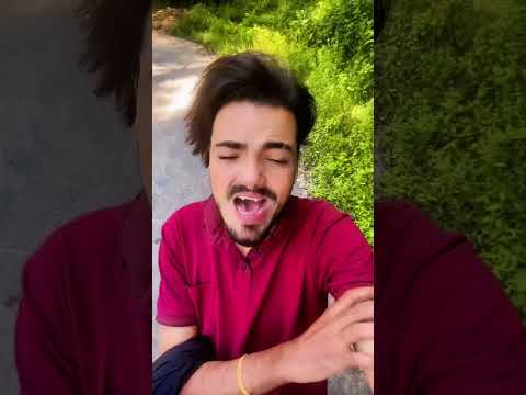 Kamin Voiceeffects Cover Song