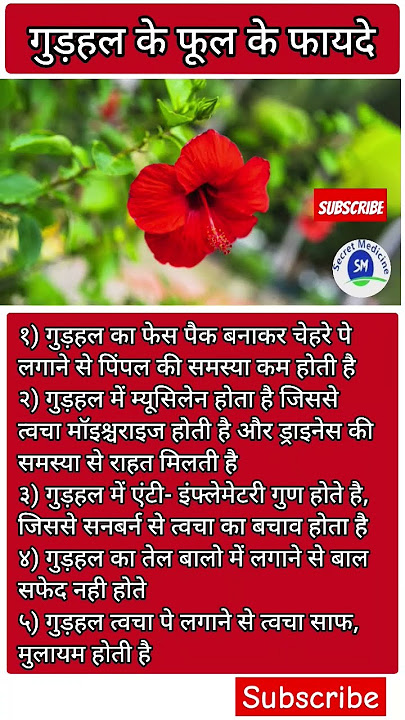 Gudhal ke phool ke fayde | Hibiscus phool ke fayde | Jaswand phool ke fayde | #shortsfeed #shorts