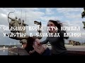 Alkonost - Река (lyric video)