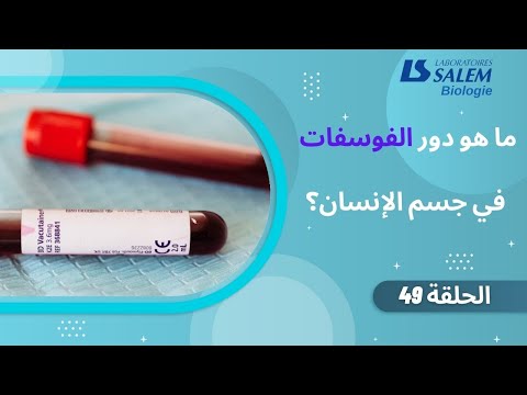 دور الفوسفات في الجسم
