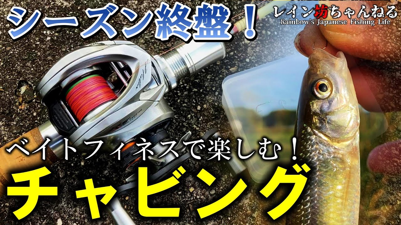 チャビング】シーズン終盤！ベイトフィネスで楽しむ！チャビング