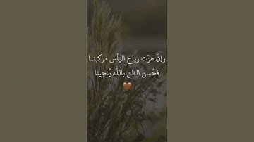 أكتب شئ تؤجر عليه 💚 القرآن الكريم