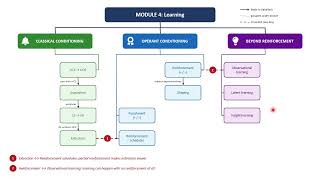 Details Dillon Module4 MindMap Update