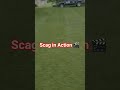 Scag in Action 🎬 2nd Cut ✂️ #lawnlife #lawncare #lawncarenation #scag #scagnation #stripe #landscape