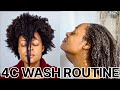 EASIEST Wash Day Routine For Type 4 Hair 💦 *Easy Detangling*