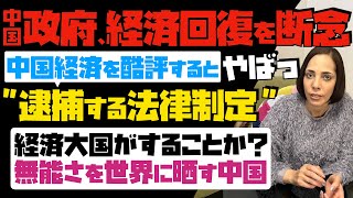 【不良債権処理を失敗】中国政府が経済回復を断念！中国経済を酷評すると逮捕する法律制定…これは経済大国がすることか？無能さを世界に晒す中国