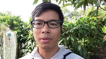 HẠT THẦU DẦU TÍA ĐIỀU TRỊ NHỮNG BỆNH GÌ?