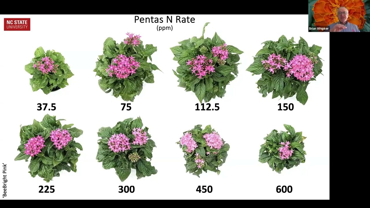 Grow Pro Series: Nutrient Management Strategies for Spring Crops