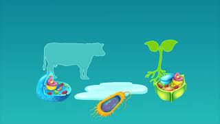 44. Cell Theory