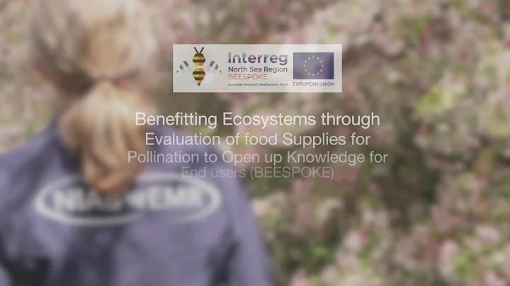 Aims of the BEESPOKE Project -  by Dr Michelle Fou...