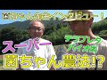 菌ちゃん先生インタビュー！「スーパー！？菌ちゃん農法」とは？　テラプレタ　バイオ炭