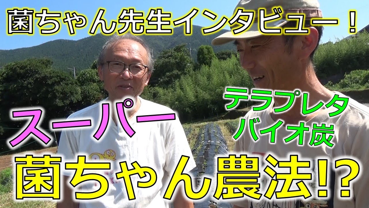 菌ちゃん先生インタビュー！「スーパー！？菌ちゃん農法」とは？　テラプレタ　バイオ炭