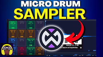 Waveform 13 Free Tutorial for Beginners | Micro Drum Sampler Tips