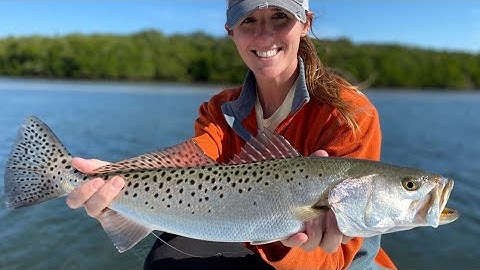 How To Catch Redfish & Trout After A Cold Front (Spots, Lures, Misconceptions)
