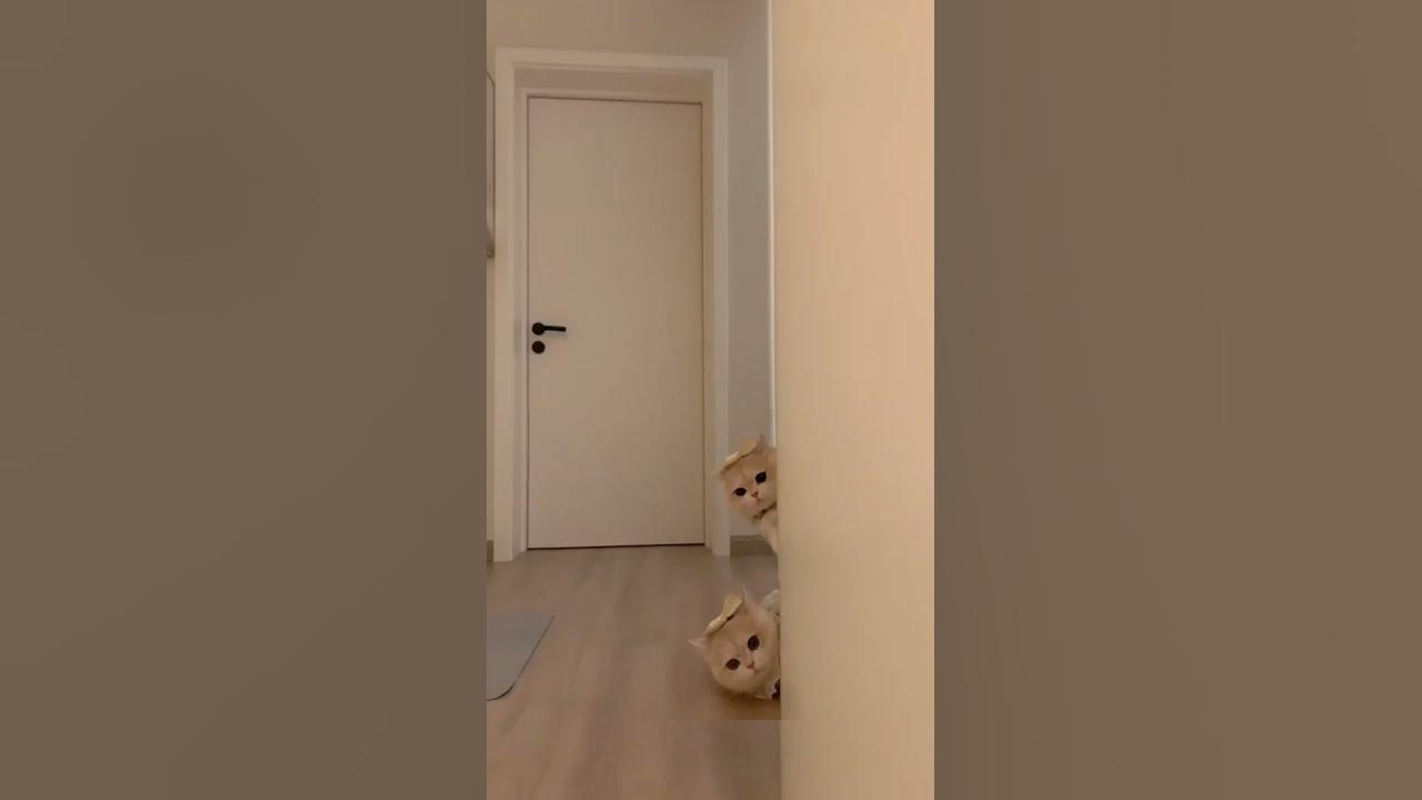 i-am-watching-u-youtube