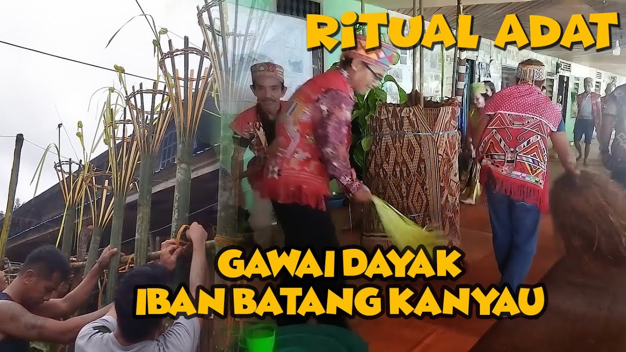 GAWAI DAYAK IBAN BATANG KANYAU-Kalimantan Barat