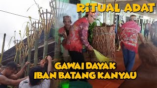 GAWAI DAYAK IBAN BATANG KANYAU-Kalimantan Barat