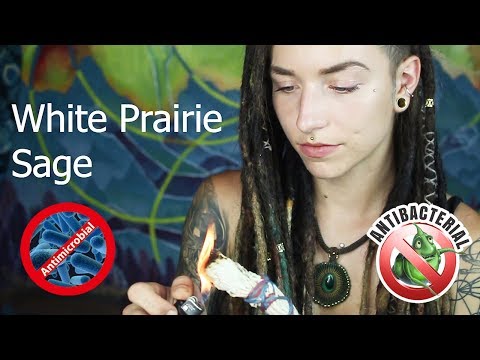 BURNING SAGE: Does it REALLY Work? | Science Behind Smudging