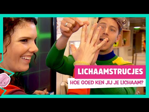 Video: Wat Te Doen Als Je Lichaam Nee Zegt - Matador Network