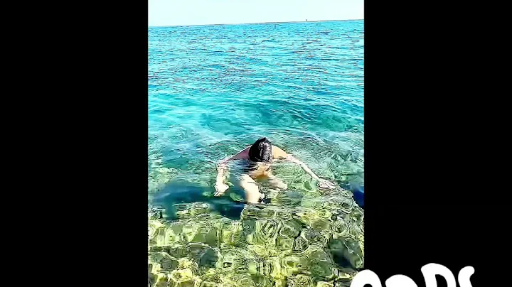 Octopus Clings To Pregnant Belly || Sajalarsonga