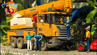 Bruder Truck Lkw Scania Crane Car Wash Video For Kids