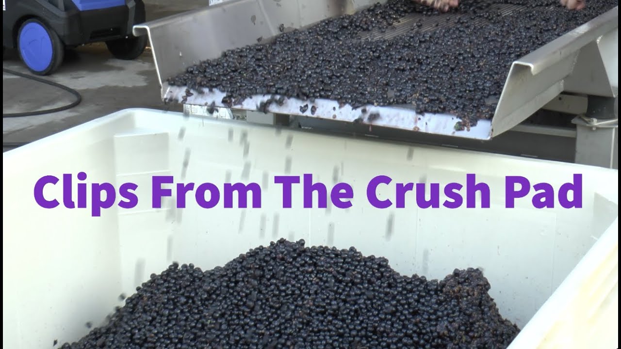 Clips From The Crush Pad