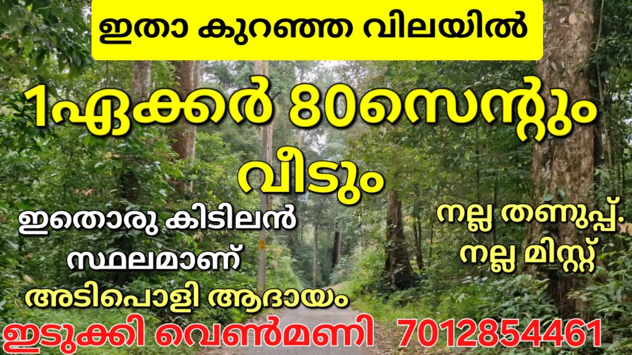 ഇതാ കുറഞ്ഞ വിലയ്ക്ക് 1ഏക്കർ 80സെന്റും വീടും.ആദയമുള്ള സ്ഥലവും ടുറിസത്തിനും അനുയോജ്യമായ സ്ഥലം വെൺമണി 👇