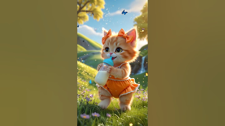 🥰 Really cute cat videos - funny cat videos for cats to watch 😊 #cats #cat #catvideos