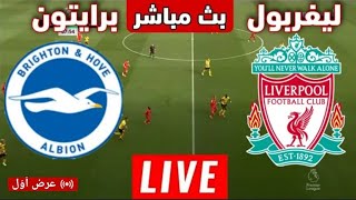 بث مباشر مباراة ليفربول وبرايتون اليوم الدوري الانجليزي اليوم ..