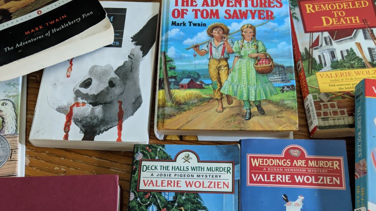Online thrift store book haul / Homeschool and some of my favorites