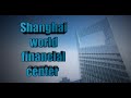 Shanghai Financial Center, Minecraft. Time Lapse!