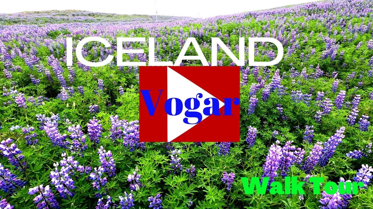 Vogar, ICELAND  - Walk Tour [4K] — Vogar — video poster